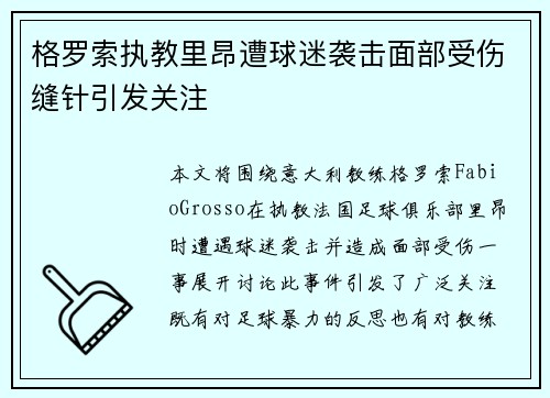 格罗索执教里昂遭球迷袭击面部受伤缝针引发关注